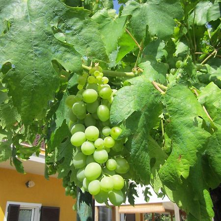 Agriturismo La Carlina Villa Magliano in Toscana Eksteriør billede