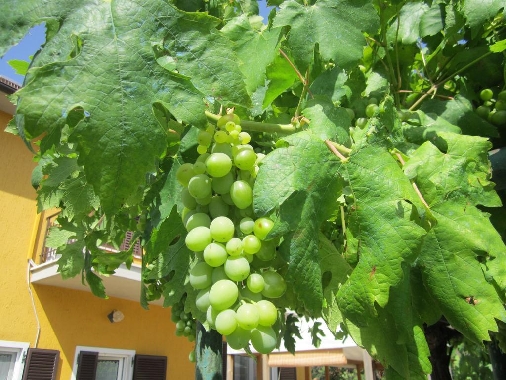 Agriturismo La Carlina Villa Magliano in Toscana Eksteriør billede