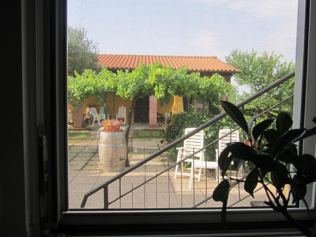 Agriturismo La Carlina Villa Magliano in Toscana Eksteriør billede