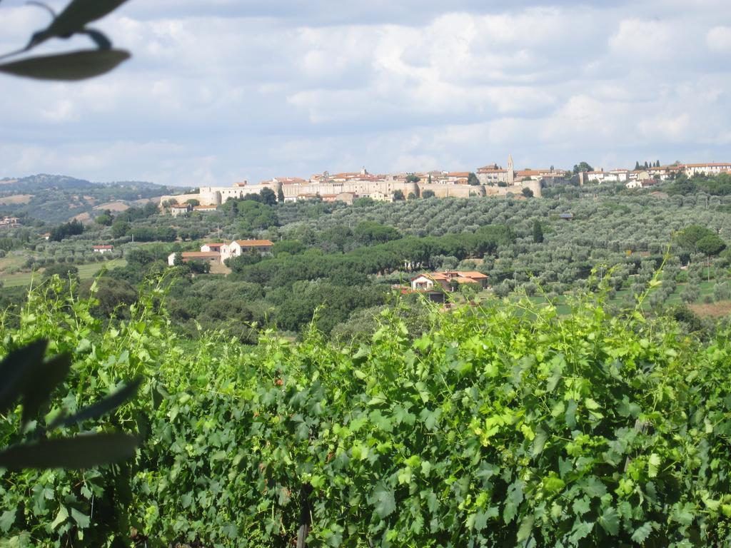 Agriturismo La Carlina Villa Magliano in Toscana Eksteriør billede