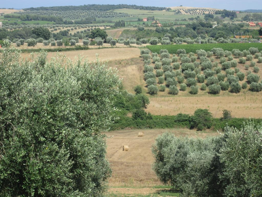 Agriturismo La Carlina Villa Magliano in Toscana Eksteriør billede