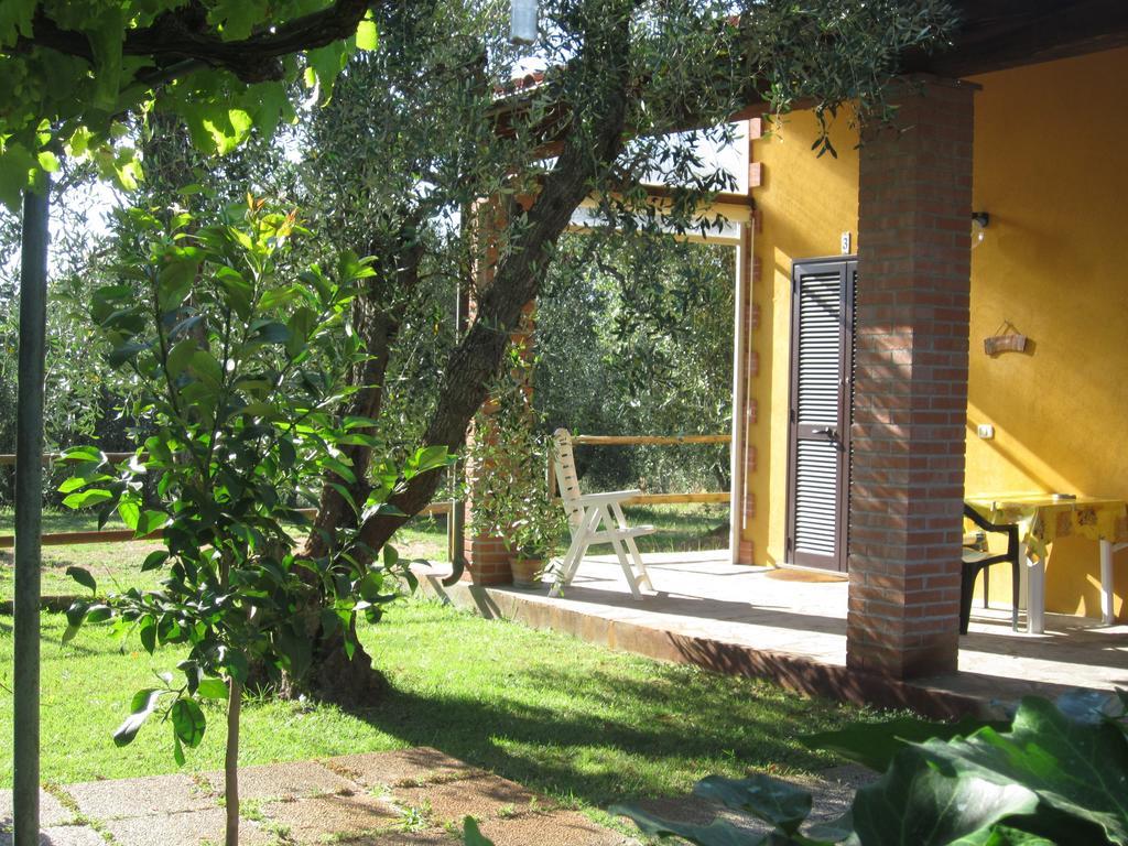 Agriturismo La Carlina Villa Magliano in Toscana Værelse billede